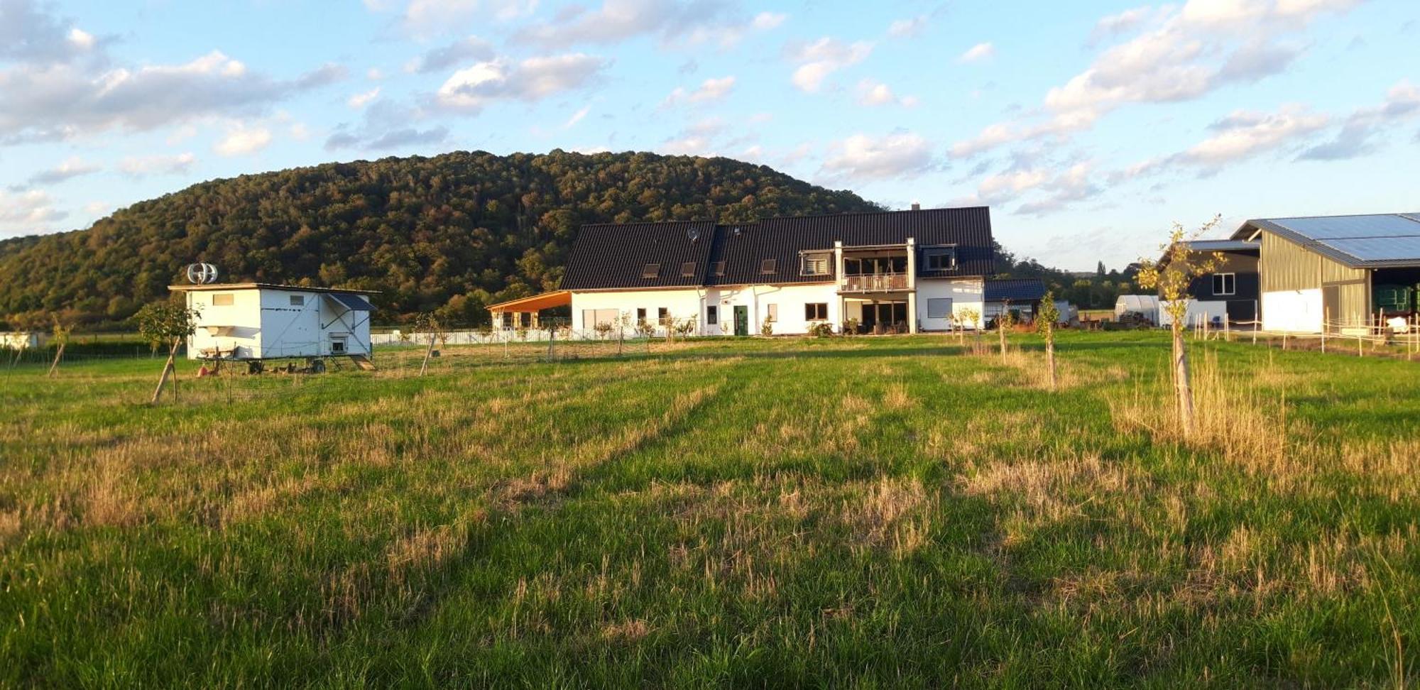 Ferienwohnung Wilhelmshof ซินซิก ภายนอก รูปภาพ